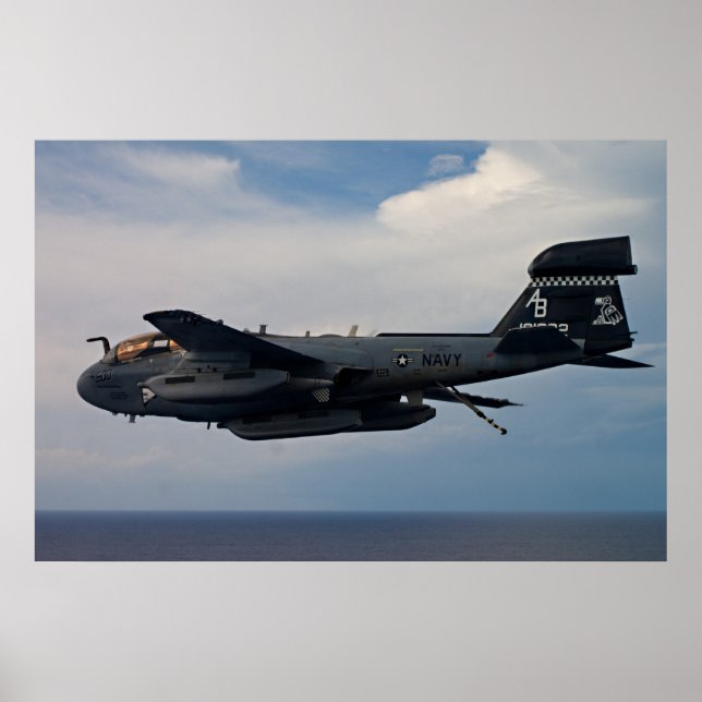EA-6B Prowler Poster (Framsidan)