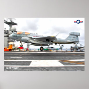 EA-6B PROWLER POSTER