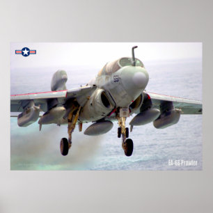 EA-6B PROWLER POSTER