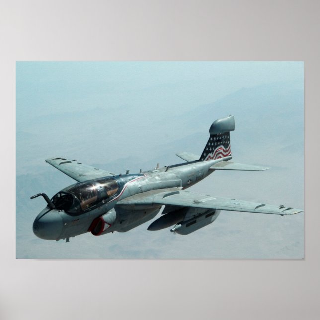 EA-6B Prowler Poster (Framsidan)