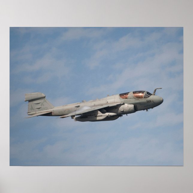 EA-6B Prowler Poster (Framsidan)
