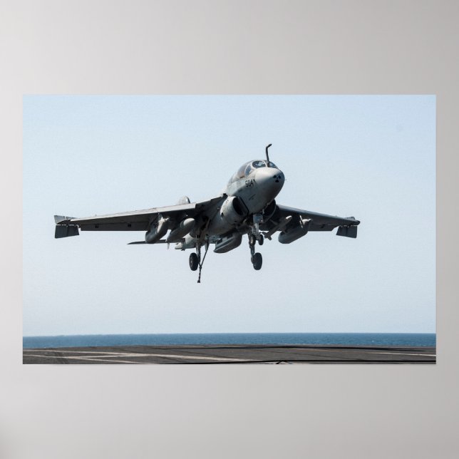 EA-6B Prowler Poster (Framsidan)