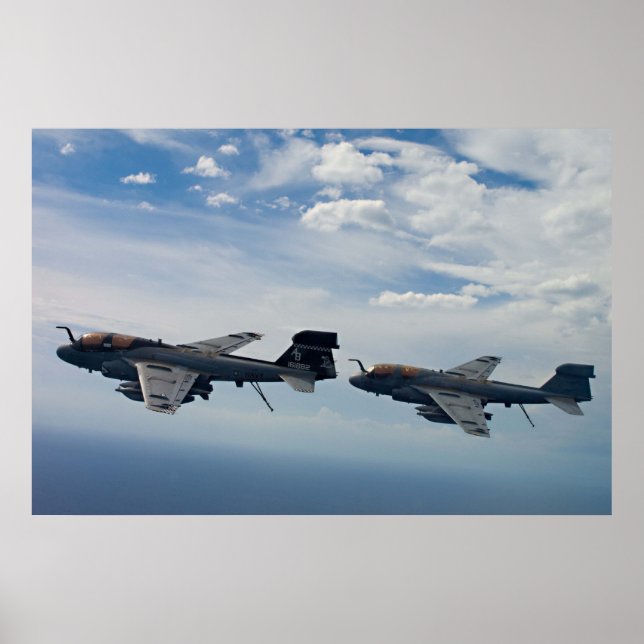 EA-6B Prowler Poster (Framsidan)