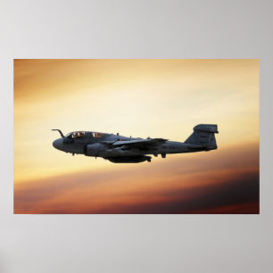 EA--6Bperson som stryker omkring Poster