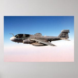 EA--6Bperson som stryker omkring Poster