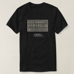 Eadweard Muybridge Animal Locomotion T Shirt