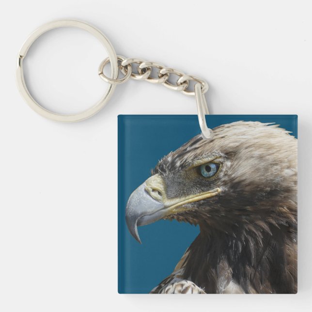 Eagle (Framsidan)