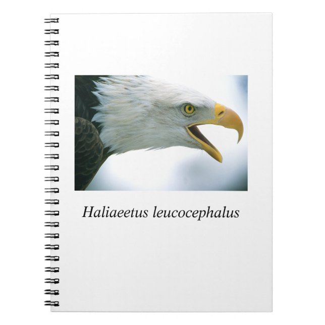 Eagle#1 Anteckningsbok (Framsidan)
