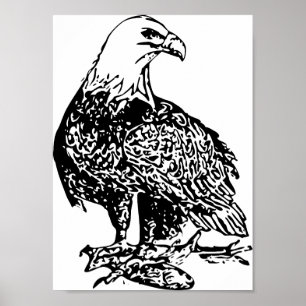 Eagle 2-utskrift, Poster Pappert (projektionsyta)