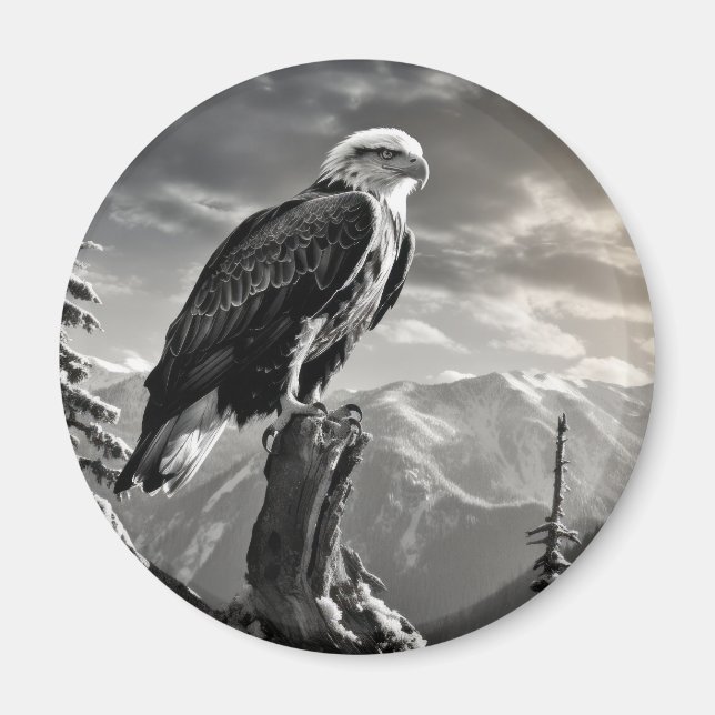 Eagle Animal Bird Vild Nature Bläck Sketch Stil Magnet (Framsidan)