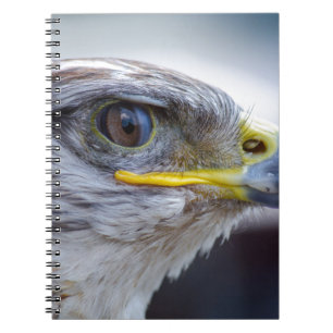 Eagle Anteckningsbok Med Spiral