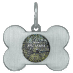 Eagle Awareness Pet ID-tagg ID-bricka Husdjur