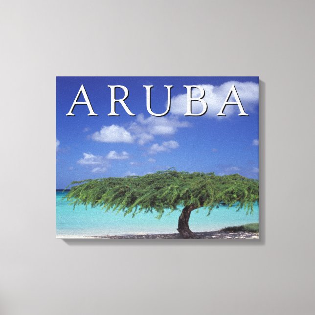 Eagle Beach | Karibien, Aruba Canvastryck (Framsida)