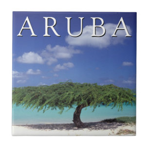 Eagle Beach Karibien, Aruba Kakelplatta