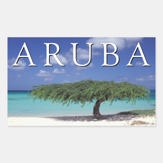 Eagle Beach | Karibien, Aruba Rektangulärt Klistermärke (Framsida)