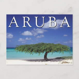 Eagle Beach Karibien, Aruba Vykort