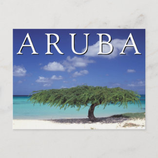 Eagle Beach | Karibien, Aruba Vykort