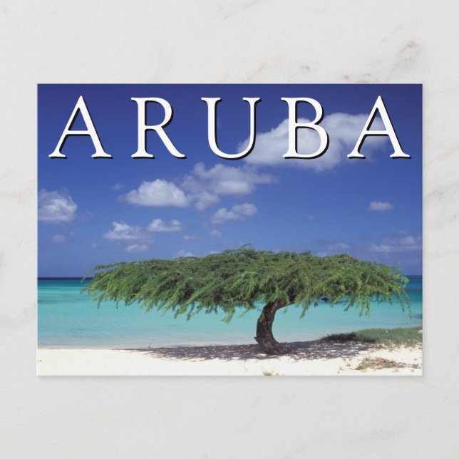 Eagle Beach | Karibien, Aruba Vykort (Framsida)