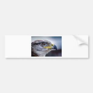 Eagle Bildekal
