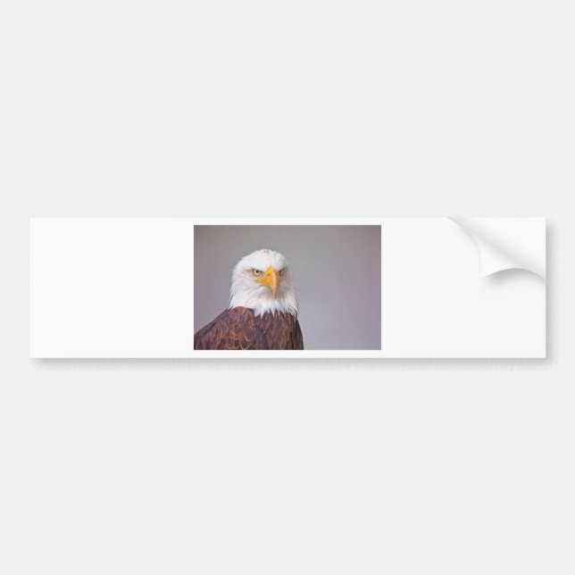 Eagle Bildekal (Framsidan)
