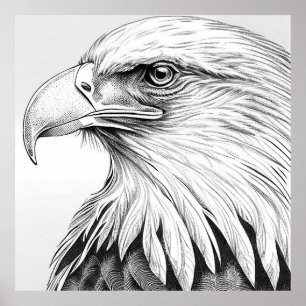 Eagle Bird Vild Natature Animal Illustration Art Poster