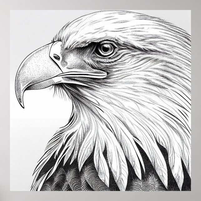 Eagle Bird Vild Natature Animal Illustration Art Poster (Framsidan)