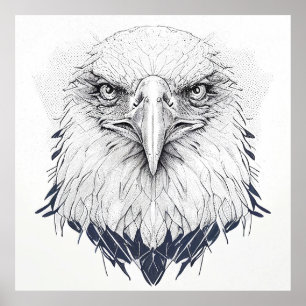 Eagle Bird Vild Natature Animal Illustration Art Poster