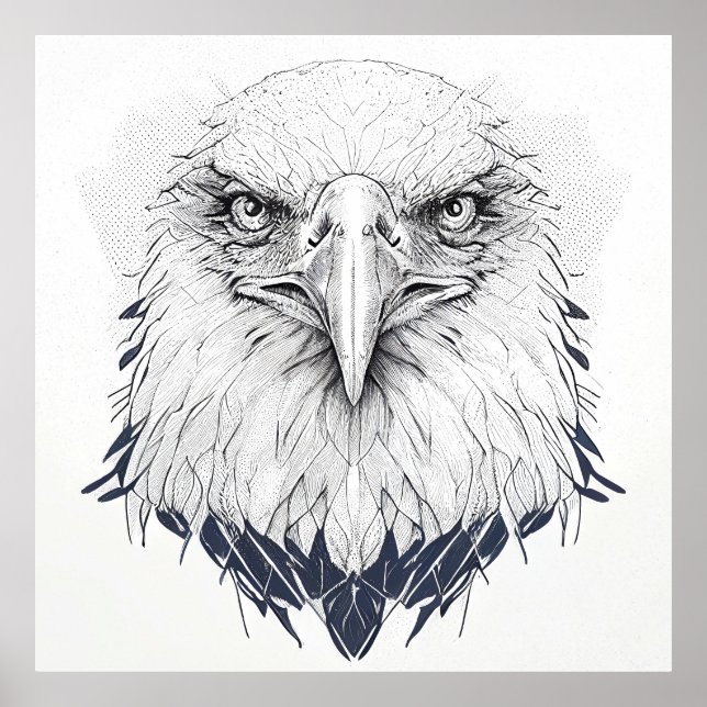 Eagle Bird Vild Natature Animal Illustration Art Poster (Framsidan)