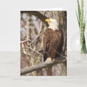 Eagle Birthday kort