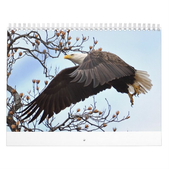 Eagle Calendar Kalender (Omslag)