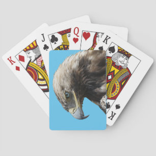 Eagle Casinokort