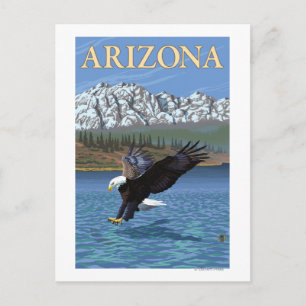 Eagle DivingArizona Vykort