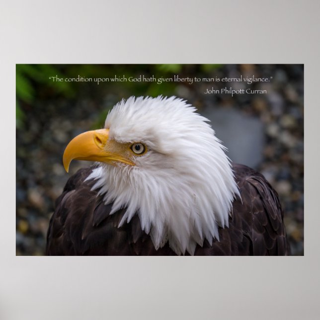 Eagle Einternal Vigilance Liberty Quote Poster (Framsidan)