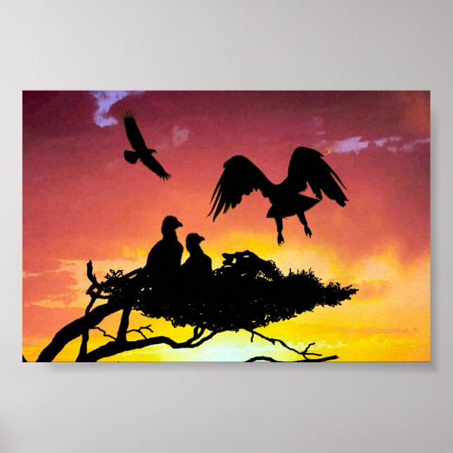 Eagle-familjen Poster (Framsidan)