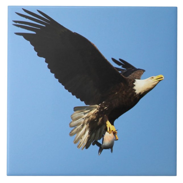 Eagle Flight Kakelplatta (Framsidan)