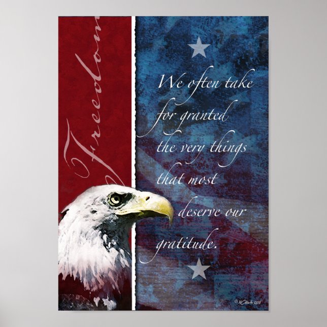 Eagle Freedom Poster (Framsidan)