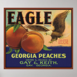 Eagle Georgia Peacher Poster