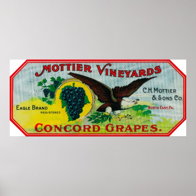 Eagle Grapes LabelNorth Öster, PA Poster (Framsidan)