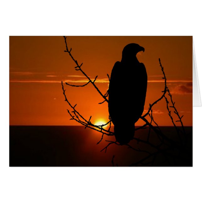 Eagle Hälsningskort (Framsidan Horizontal)