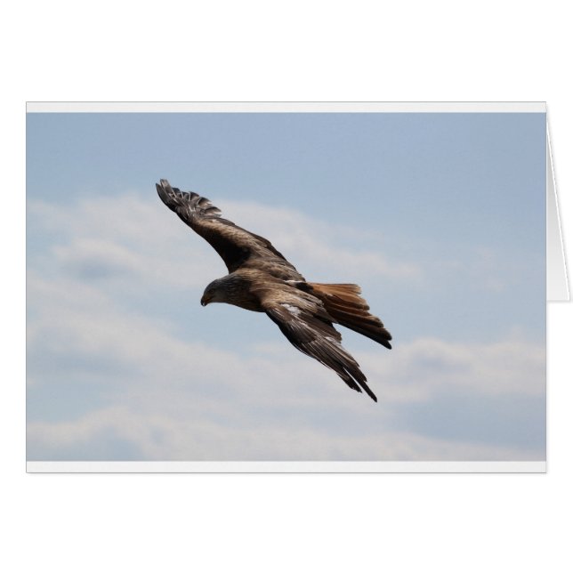 Eagle Hälsningskort (Framsidan Horizontal)