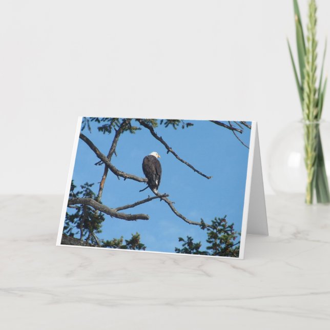 Eagle-hälsningskort Kort (Framsida)