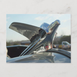 Eagle Huva Ornament Vykort
