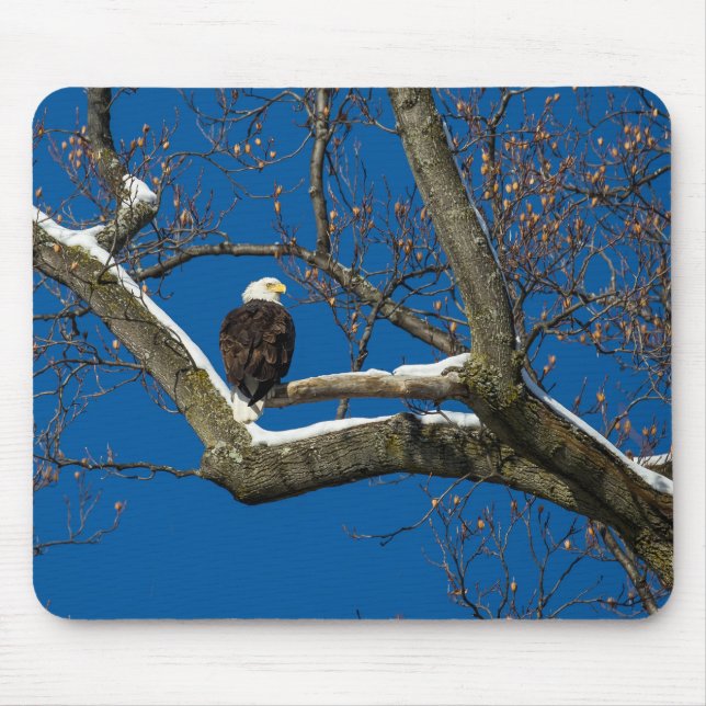 Eagle i Snowy Träd Musmatta (Framsidan)