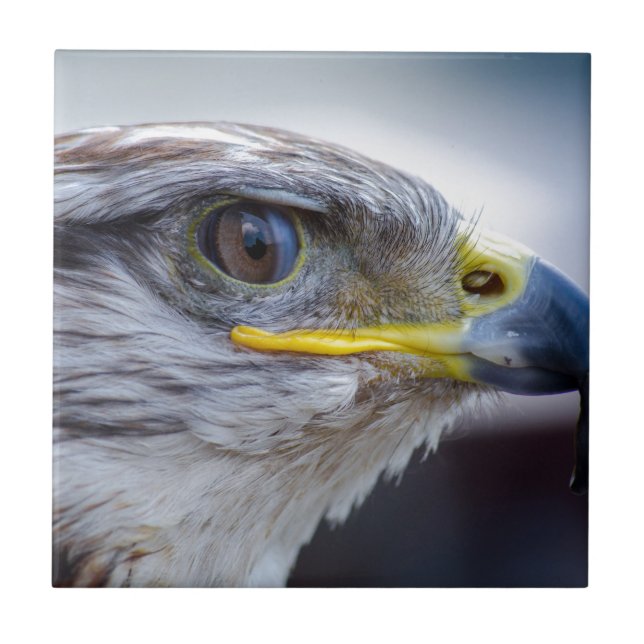 Eagle Kakelplatta (Framsidan)