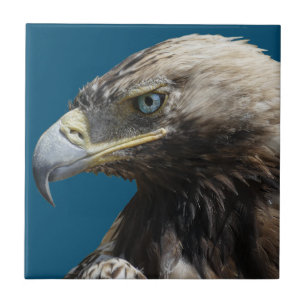 Eagle Kakelplatta
