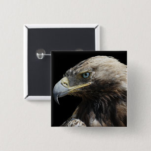 Eagle Knapp