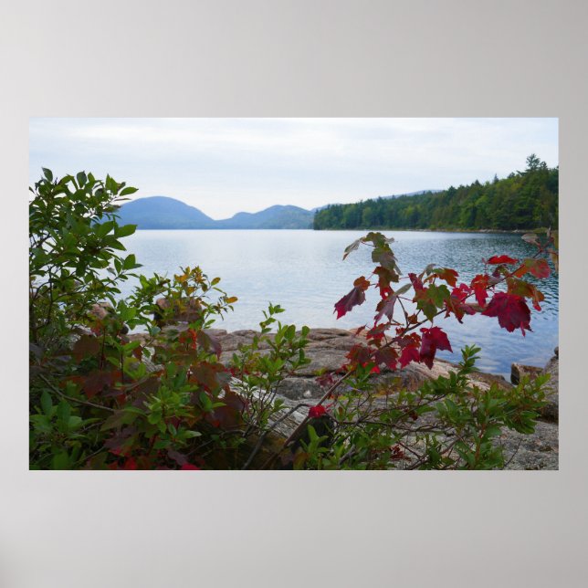 Eagle Lake och röda lönnlöv I Poster (Framsidan)