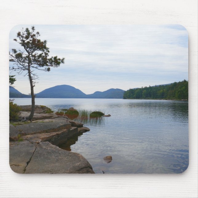 Eagle Lake vid Acadia National Park Musmatta (Framsidan)