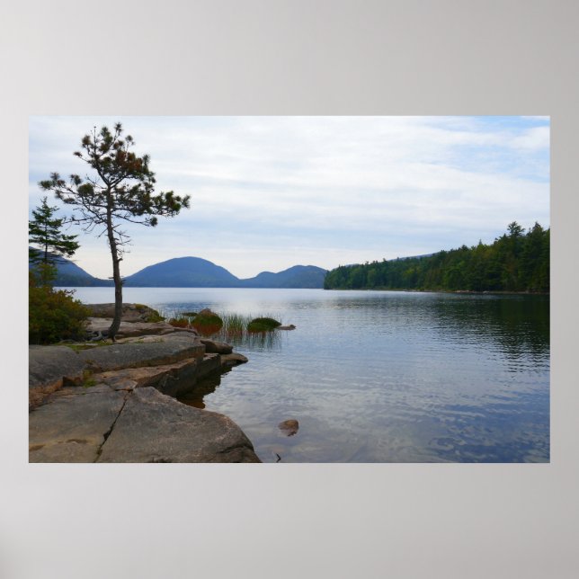 Eagle Lake vid Acadia National Park Poster (Framsidan)