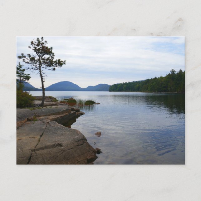 Eagle Lake vid Acadia National Park Vykort (Framsida)